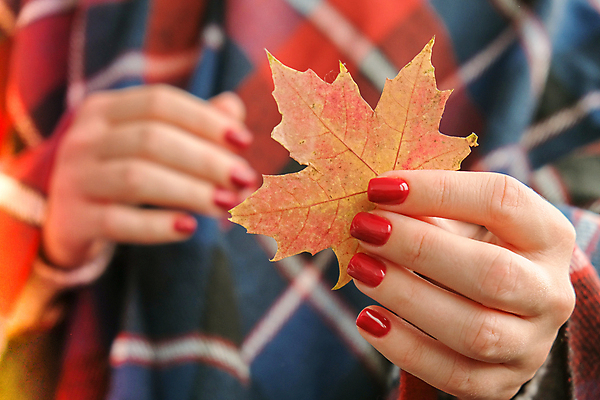 포토 JPG 해외이미지 손 단풍 낙엽 들기 아웃포커스 신체부위 네일아트 오브젝트 해외포토 잎 모션 촬영기법 사람 뷰티 파일형식 이미지허브