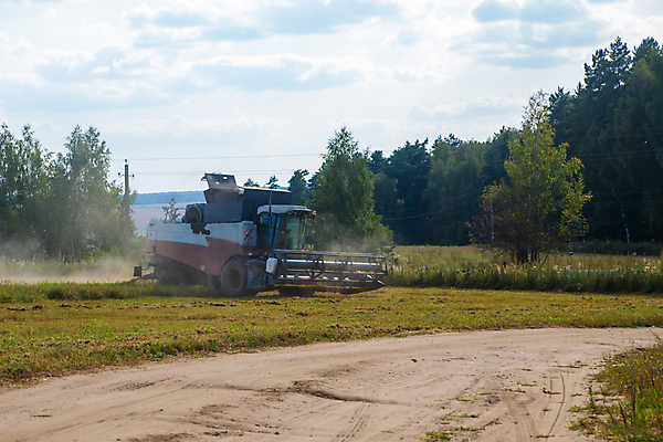 포토 JPG 해외이미지 식물 산업 음식 밭 농업 자연 하늘 옥수수 씨앗 사람없음 야외 농작물 농장 농경지 기계 장비 수확 성장 농촌 시골 업무 황금 농부 낟알 땅 시리얼 밀 보리 먼지 트랙터 밀짚 밭일 파종 호밀 해외포토 직업 곡류 농사 작업 짚 농기계 생태계 특수차량 파일형식 이미지허브