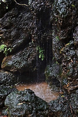 포토 JPG 해외이미지 벽 자연 산 풍경 사람없음 세로 초록색 물 검은색 어둠 침묵 폭포 회색 젖음 흐름 추위 가을 바위 물방울 연못 액체 개울 떨어짐 분무기 얇은 현무암 그리너리 해외포토 자연요소 계절 컬러 컨셉 강 소리 돌_바위 생태계 화산암 파일형식 트랜드컬러 이미지허브