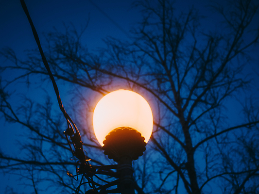 포토 JPG 해외이미지 나무 디자인 계절 공원 백그라운드 잎 가로등 건축양식 자연 하늘 조명 거리 사람없음 야외 장식 초록색 파란색 빛 금속 검은색 어둠 힘 침묵 일몰 에너지 수확 흰색 등불 램프 도시 야간 저녁 철 러시아 장면 빛망울 광 모스크바 옛날 해외포토 자연요소 식물 공공시설 건축 유럽 컬러 농업 재질 노을 소리 생태계 파일형식 이미지허브