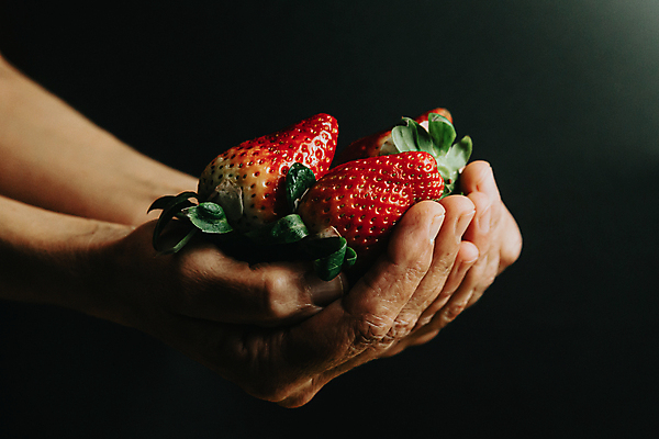 포토 JPG 해외이미지 손 딸기 들기 신체부위 신선 해외포토 과일 모션 사람 파일형식 이미지허브