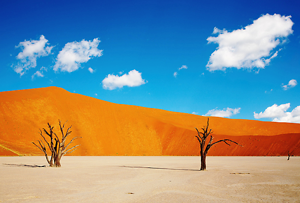 포토 JPG 해외이미지 나무 구름 모래 유적 오렌지 아프리카 자연 하늘 날씨 건조 골격 풍경 사람없음 목재 빨간색 파란색 글로벌 맑음 흙 사막 죽음 뜨거움 황무지 균열 저녁 땅 모래언덕 가뭄 나미비아 해외포토 자연요소 식물 전통 나라 컬러 과일 재료 모션 야간 언덕 생태계 남아프리카 파일형식 이미지허브
