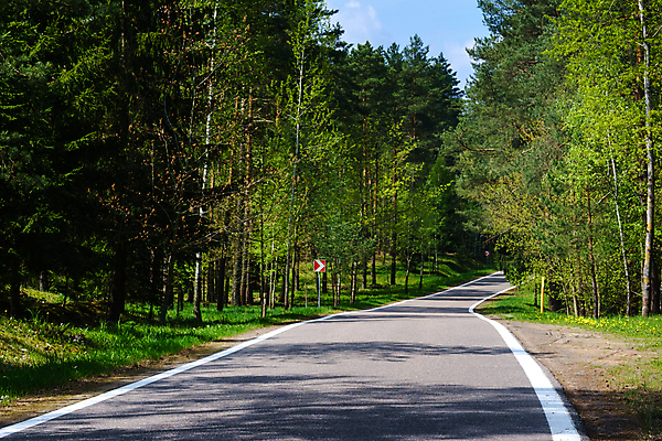 포토 JPG 해외이미지 나무 계절 도로 여행 밭 자연 날씨 풍경 사람없음 야외 초록색 여름 환경 맑음 활발 전원 시골 신선 고속도로 숲 아스팔트 땅 사생활 생태학 평야 해외포토 식물 교육 길 컬러 컨셉 농업 교통시설 전기에너지 생태계 파일형식 이미지허브
