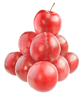 포토 JPG 해외이미지 음식 과일 건강 사람없음 빨간색 쌓기 보라색 그룹 달콤 유기농 자두 흙더미 고립 숙성 해외포토 웰빙 컬러 모션 흙 맛 파일형식 더미 이미지허브