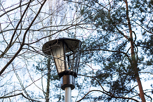 포토 JPG 해외이미지 나무 공원 백그라운드 전구 유리 매달리기 사람없음 마을 검은색 기계 추위 골동품 가을 나뭇가지 시골 등불 램프 좌절 버리기 부식 목각 깨짐 벌거벗은 옛날 해외포토 식물 계절 공공시설 감정 컬러 컨셉 모션 재질 조명 파일형식 이미지허브