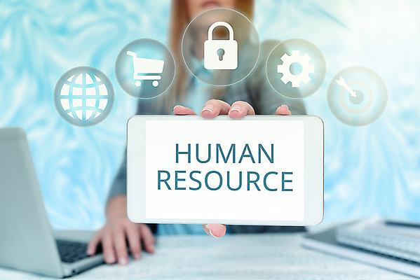 포토 JPG 해외이미지 직업 회사 비즈니스 사업가 통신 노동자 기술 사람없음 사무실 선택 어플리케이션 계획 상담원 직원 계약 검색 상담 경영자 면접 위치 자원 개발 경영 고용 세미나 자격증 지원 채용 후보 콜라보레이션 해외포토 컨셉 구직 사무원 리더 증명서 파일형식 이미지허브