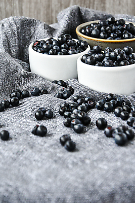 포토 JPG 해외이미지 그릇 실내 사람없음 아웃포커스 신선 달콤 담기 블루베리 나무배경 해외포토 식기 백그라운드 과일 모션 촬영기법 내부 맛 파일형식 이미지허브