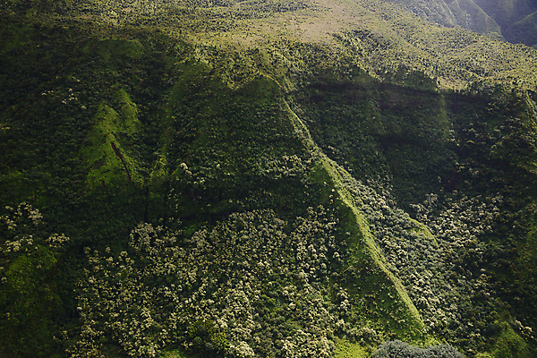 포토 JPG 해외이미지 공원 섬 여행 자연 휴가 산 안테나 사람없음 야외 초록색 계곡 미국 헬리콥터 하와이 멀리 울퉁불퉁 해외포토 공공시설 컬러 북아메리카 통신 비행기 생태계 파일형식 이미지허브