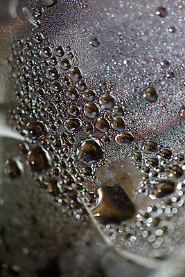 포토 JPG 해외이미지 표면 실내 근접촬영 사람없음 젖음 물방울 플라스틱병 해외포토 뷰포인트 내부 플라스틱 병_담는 파일형식 이미지허브