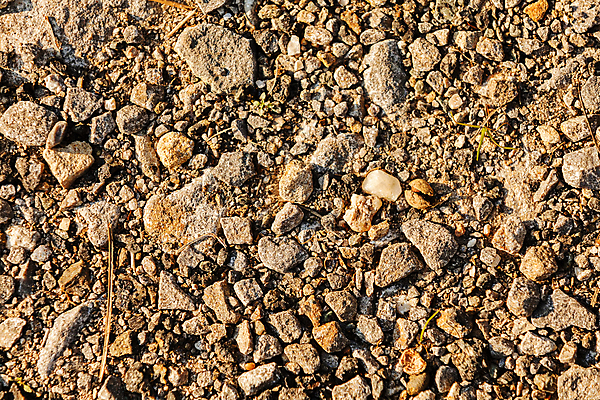 포토 JPG 해외이미지 식물 디자인 공원 도로 길 백그라운드 자국 자연 사람없음 야외 물 갈색 정원 산책 오솔길 조경 직사각형 내추럴 방법 옛날 해외포토 자연요소 도형 공공시설 컬러 교통시설 휴식 생태계 파일형식 이미지허브