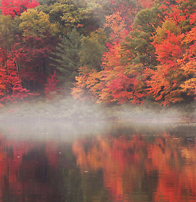 포토 JPG 해외이미지 주간 호수 단풍 단풍나무 사람없음 야외 반사 안개 해외포토 자연요소 나무 잎 날씨 파일형식 이미지허브