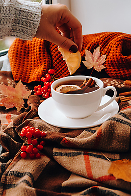 포토 JPG 해외이미지 손 열매 단풍 낙엽 실내 들기 신체부위 담요 레몬 과일조각 해외포토 식물 조각 잎 과일 모션 사람 내부 파일형식 이미지허브