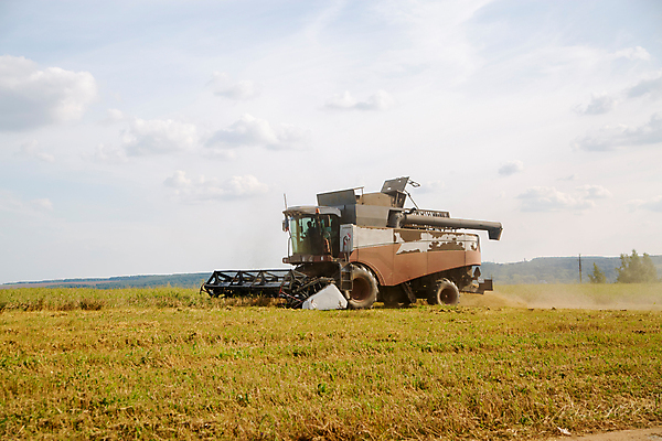 포토 JPG 해외이미지 식물 산업 음식 밭 농업 자연 하늘 옥수수 씨앗 사람없음 야외 농작물 농장 농경지 기계 장비 수확 성장 농촌 시골 업무 황금 농부 낟알 땅 시리얼 밀 보리 먼지 트랙터 밀짚 밭일 파종 호밀 해외포토 직업 곡류 농사 작업 짚 농기계 생태계 특수차량 파일형식 이미지허브