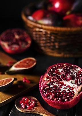 포토 JPG 해외이미지 동물 꽃 백그라운드 컨셉 신체 채소 과일 자연 벽지 추상 프레임 씨앗 안전 사람 사람없음 건물 상자 컬러풀 기계 공백 견과류 정상 천 보고서 비타민 요거트 해외포토 식물 건축물 컬러 무늬 유제품 직물 생태계 영양소 파일형식 이미지허브