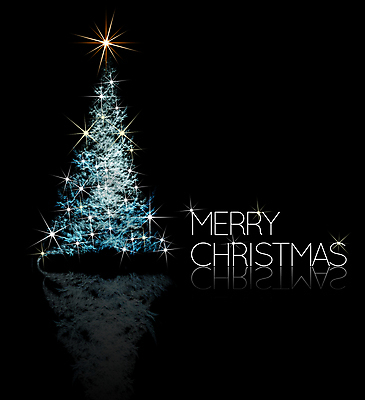 포토 JPG 해외이미지 나무 계절 별 백그라운드 크리스마스 겨울 일러스트 추상 휴가 사람없음 장식 파란색 디지털 얼음 검은색 축제 기쁨 흰색 축하 소나무 수학 정상 시원함 서리 만들기 발생 스타일 효과 해외일러스트 자연요소 식물 기념일 감정 컬러 컨셉 무늬 교과목 모션 파일형식 이미지허브