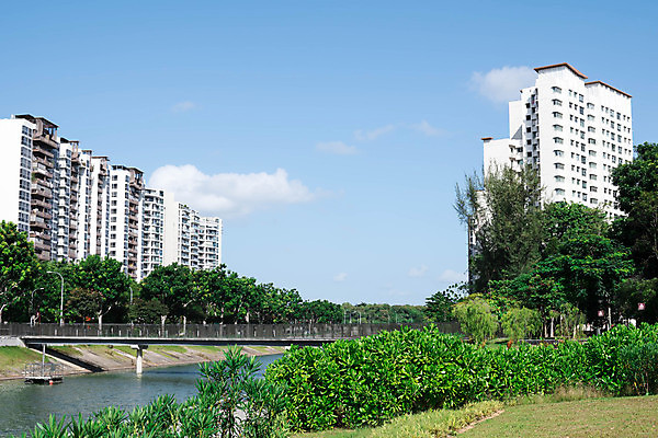 포토 JPG 해외이미지 나무 공원 여행 비즈니스 건축양식 하늘 거리 아파트 주택 풍경 사람없음 건물 물 파란색 강 도시풍경 사무실 탑 고층빌딩 도시 콘도 스카이라인 싱가폴 해외포토 자연요소 식물 건축물 공공시설 건축 아시아 컬러 숙소 빌딩 파일형식 이미지허브