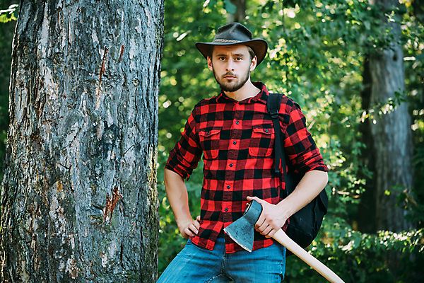 포토 JPG 해외이미지 나무 백인 직업 남자 백그라운드 셔츠 캐나다 노동자 수염 한명 서기 사람 야외 목재 환경 힘 수확 시골 잡기 업무 작업 자신감 칼날 숲 자르기 통나무 도끼 잡동사니 벌목 생태학 수목 커터 힙스터 해외포토 서양인 식물 1 교육 패션 감정 상의 북아메리카 농업 재료 모션 파일형식 이미지허브