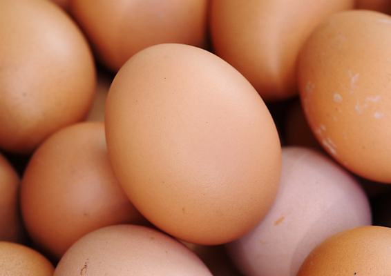 포토 JPG 해외이미지 실내 근접촬영 사람없음 계란 가득함 해외포토 뷰포인트 내부 알 파일형식 이미지허브