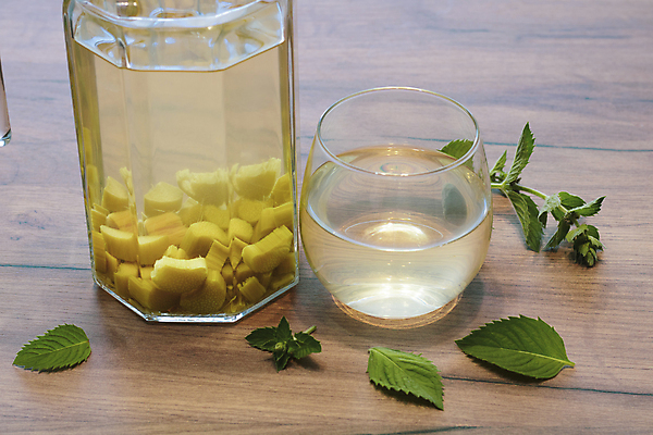 포토 JPG 해외이미지 식물 계절 음료 음식 백그라운드 잎 과일 자연 유리 탁자 건강 사람없음 목재 빨간색 초록색 주스 흰색 신선 조끼 달콤 설탕 민트 해외포토 나무 컬러 가구 재료 재질 외투 맛 허브 생태계 파일형식 이미지허브