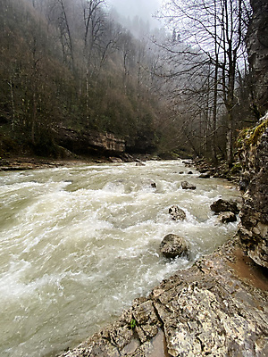 포토 JPG 해외이미지 주간 나무 야생동물 여행 자연 날씨 산 사람없음 야외 세로 물 관광지 강 환경 놀람 흐름 시골 개울 떨어짐 숲 신비 속도 수로 자연백그라운드 분무기 지역 산악지대 생태학 현재 해외포토 자연요소 식물 동물 교육 감정 백그라운드 컨셉 표정 생태계 파일형식 이미지허브