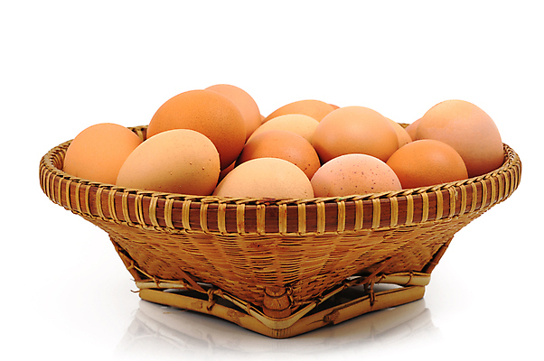 포토 JPG 해외이미지 음식 사람없음 농장 갈색 바구니 해외포토 컬러 농업 파일형식 이미지허브