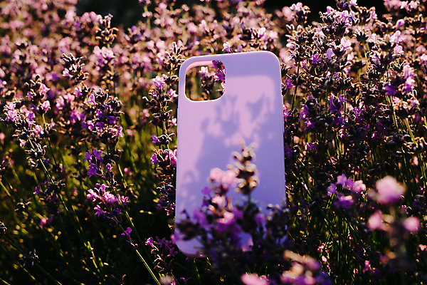 포토 JPG 해외이미지 주간 사람없음 야외 보라색 프랑스 라벤더 프로방스 스마트폰케이스 해외포토 자연요소 꽃 유럽 컬러 스마트폰 허브 파일형식 이미지허브