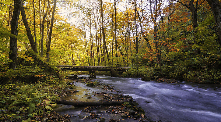포토 JPG 해외이미지 주간 단풍 단풍나무 사람없음 야외 강 계곡 해외포토 자연요소 나무 잎 파일형식 이미지허브