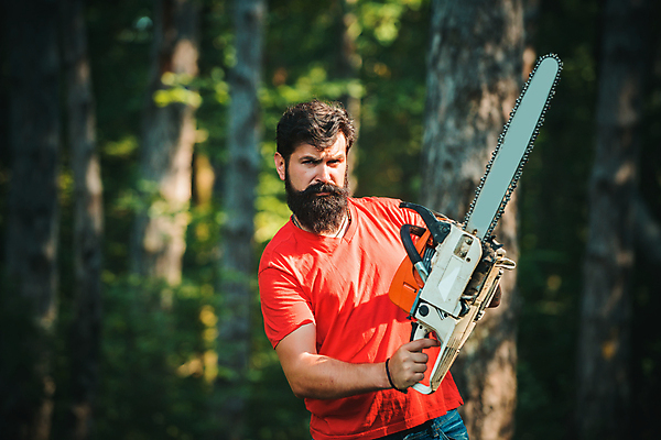 포토 JPG 해외이미지 나무 백인 직업 응시 남자 백그라운드 수염 한명 서기 사람 야외 목재 환경 시골 잡기 업무 자신감 칼날 숲 자르기 근육질 잭 잡동사니 벌목 생태학 수목 전기톱 커터 힘찬 힙스터 해외포토 서양인 식물 1 시선 교육 패션 감정 컨셉 재료 모션 근육 작업 몸매 톱 파일형식 이미지허브