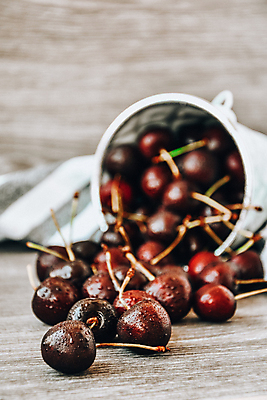 포토 JPG 해외이미지 열매 음식 농업 다이어트 과일 재료 자연 탁자 디저트 건강 사람없음 목재 여름 정원 수확 가을 신선 체리 달콤 맛 먹기 양동이 상쾌 유기농 날것 레시피 비타민 건강식 내추럴 숙성 채식주의자 카피스페이스 비건 맛있는 해외포토 나무 식물 웰빙 계절 감정 산업 가구 컨셉 모션 공백 생태계 채식 영양소 파일형식 이미지허브