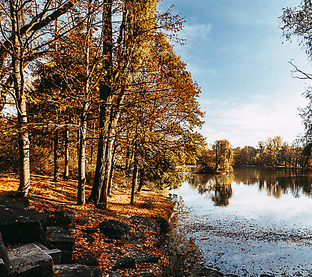 포토 JPG 해외이미지 주간 단풍 하늘 단풍나무 사람없음 야외 강 해외포토 자연요소 나무 잎 파일형식 이미지허브