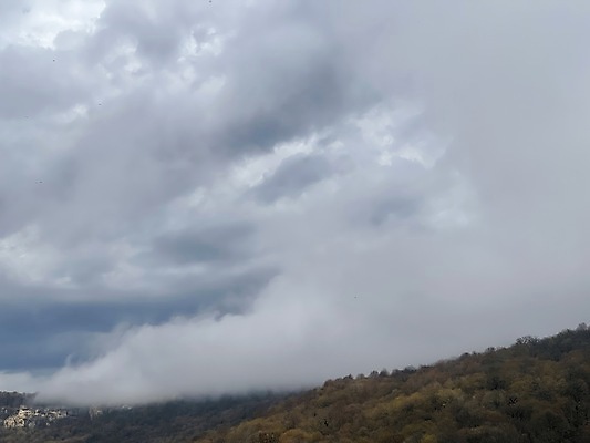 포토 JPG 해외이미지 주간 나무 야생동물 여행 자연 하늘 날씨 사람없음 야외 가로 관광지 환경 놀람 안개 시골 수분 언덕 그림 자연백그라운드 주말 지역 서식지 산악지대 뿌연 해외포토 자연요소 식물 동물 감정 백그라운드 산 표정 생태계 파일형식 이미지허브