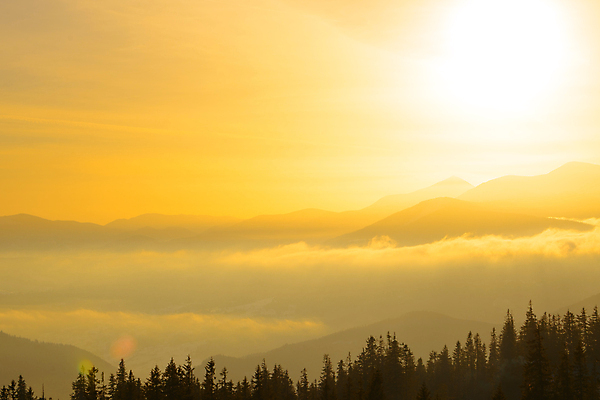 포토 JPG 해외이미지 나무 구름 계절 유럽 여행 백그라운드 자연 하늘 아침 날씨 산 풍경 사람없음 야외 여름 빛 컬러풀 햇빛 태양 노란색 일출 계곡 황혼 일몰 봄 새벽 안개 흰색 황금 정상 저녁 숲 언덕 천국 전나무 우크라이나 절정 해외포토 주간 자연요소 식물 나라 컬러 노을 야간 생태계 파일형식 이미지허브