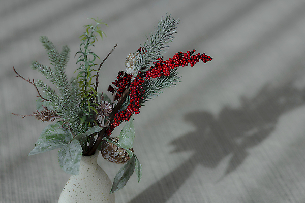 포토 JPG 화분 크리스마스 겨울 회색배경 크리스마스용품 실내 그림자 사람없음 햇빛 조화 카피스페이스 국내포토 계절 기념일 백그라운드 내부 태양 공백 회색 용품 파일형식