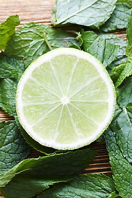 포토 JPG 해외이미지 디자인 음료 음식 조각 백그라운드 잎 다이어트 과일 재료 자연 귤 건강 사람없음 초록색 식사 수확 흰색 신선 원형 그룹 상품 정상 자르기 레몬 민트 허브 준비 유기농 날것 향기 아로마 라임 비타민 내추럴 거짓말 숙성 채식주의자 현실 비건 스피아민트 해외포토 도형 식물 웰빙 컬러 농업 모션 생태계 채식 냄새 영양소 파일형식 이미지허브