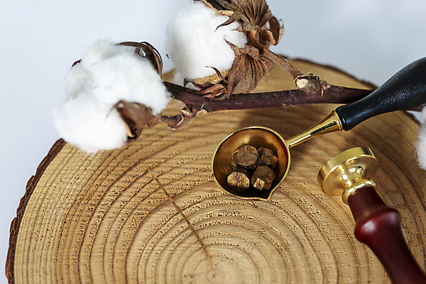 포토 JPG 나무 크리스마스 겨울 크리스마스용품 실내 근접촬영 사람없음 흰배경 나무토막 나무받침 목화꽃 씰링왁스 카피스페이스 실링스탬프 국내포토 식물 계절 기념일 꽃 뷰포인트 백그라운드 내부 목재 공백 흰색 받침대 용품 파일형식