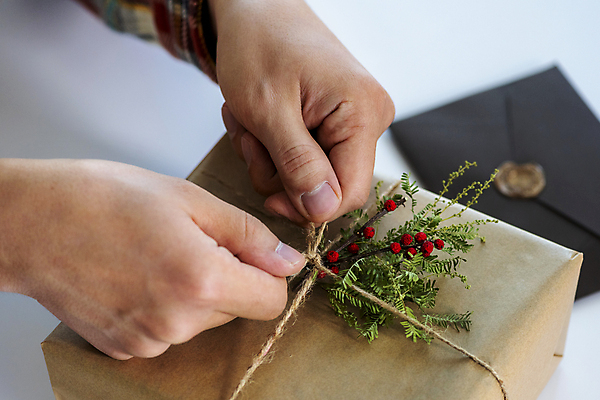 포토 JPG 손 크리스마스 겨울 크리스마스용품 편지봉투 실내 선물포장 크리스마스선물 신체부위 선물상자 흰배경 노끈 호랑가시나무열매 낙상홍 은엽 국내포토 식물 계절 기념일 열매 줄 백그라운드 포장 봉투 선물 사람 내부 상자 흰색 편지 용품 파일형식