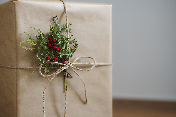 포토 JPG 크리스마스 겨울 크리스마스용품 실내 선물포장 크리스마스선물 사람없음 아웃포커스 선물상자 흰배경 노끈 호랑가시나무열매 낙상홍 은엽 국내포토 식물 계절 기념일 열매 줄 백그라운드 포장 촬영기법 선물 내부 상자 흰색 용품 파일형식