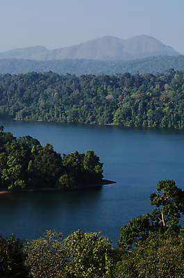 포토 JPG 해외이미지 나무 호수 백그라운드 자연 산 안테나 파노라마 풍경 사람없음 옆모습 초록색 물 여름 강 계곡 흐름 개울 급류 정상 숲 댐 언덕 장면 암초 해외포토 자연요소 식물 계절 공공시설 뷰포인트 컬러 컨셉 통신 촬영기법 생태계 파일형식 이미지허브