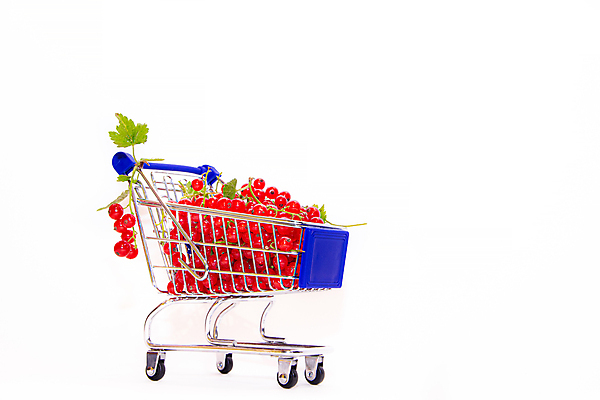 포토 JPG 해외이미지 잡화 열매 음식 줄기 백그라운드 농업 과일 자연 디저트 건강 사람없음 빨간색 초록색 여름 쇼핑 장난감 세일 바구니 상점 정원 카트 미니어처 흰색 신선 시장 플랫 달콤 구매 유기농 블랙베리 슈퍼마켓 건포도 미니 숙성 채식주의자 해외포토 식물 웰빙 계절 산업 컬러 포도 모형 맛 생태계 채식 건과일 파일형식 이미지허브