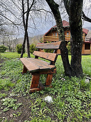 포토 JPG 해외이미지 나무 디자인 여행 가구 컨셉 벤치 의자 자연 휴식 앉기 잔디 사람없음 야외 목재 세로 초록색 농가 소풍 평화 마을 환경 농촌 시골 휴게실 닫기 시설 통나무 목공예 내추럴 교외 수목 안락 해외포토 식물 컬러 생활용품 재료 모션 농장 야외활동 공예 생태계 파일형식 이미지허브