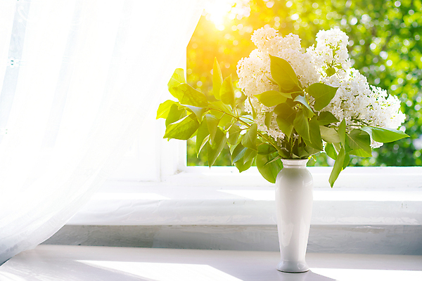 포토 JPG 해외이미지 나무 식물 디자인 계절 꽃잎 꽃 꽃다발 백그라운드 꽃무늬 봄꽃 자연 탁자 관리 사람없음 목재 장식 우주 주방 꽃병 봄 벚꽃 흰색 나뭇가지 신선 개화 5월 다발 배열 관목 라일락 내추럴 엘리먼트 정물화 국경 해외포토 컬러 가구 무늬 재료 날짜 그림 생태계 파일형식 이미지허브