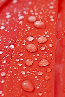 포토 JPG 해외이미지 디자인 옷 백그라운드 패턴 우산 부분 표면 날씨 사람없음 야외 빨간색 물 빛 환경 거품 젖음 흐름 물방울 직물 신선 액체 떨어짐 이슬 수분 천 빗방울 구슬 묘사 질감 멀티 방수 해외포토 자연요소 컬러 컨셉 무늬 비_날씨 파일형식 이미지허브