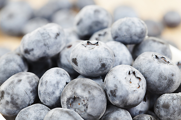 포토 JPG 해외이미지 열매 음식 다이어트 과일 자연 탁자 디저트 산 건강 사람없음 여름 파란색 쌓기 정원 어둠 금지 시골 신선 원형 그룹 달콤 맛 큼 먹기 가득함 상쾌 유기농 블루베리 날것 슛 먼지 비타민 흙더미 숙성 채식주의자 많음 맛있는 해외포토 도형 식물 웰빙 계절 감정 컬러 가구 컨셉 모션 흙 크기 생태계 채식 영양소 파일형식 더미 이미지허브