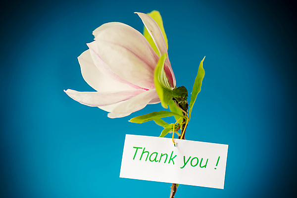 포토 JPG 해외이미지 종이 백그라운드 프레임 사랑 사람없음 꼬리표 사각형 감사 목련 비네팅 레터링 해외포토 도형 꽃 감정 촬영기법 라벨 파일형식 이미지허브