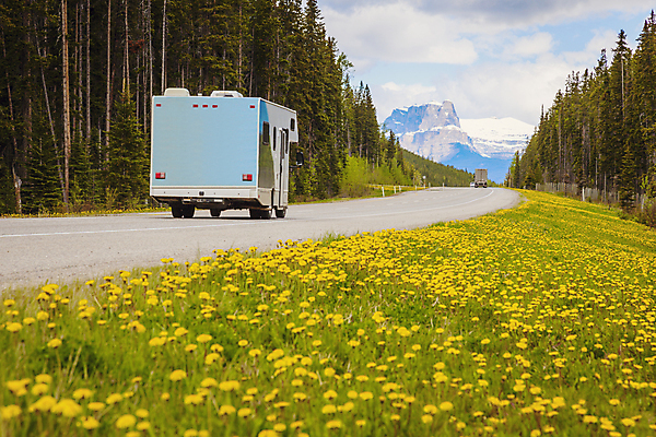 포토 JPG 해외이미지 꽃 도로 여행 캐나다 교통시설 자연 산 주택 국립공원 풍경 사람없음 야외 노란색 맑음 봄 운전 고속도로 황무지 짐차 트레일러 앨버타 절정 해외포토 식물 계절 공원 길 컬러 교통 북아메리카 모션 자동차 날씨 건물 시설 생태계 파일형식 이미지허브