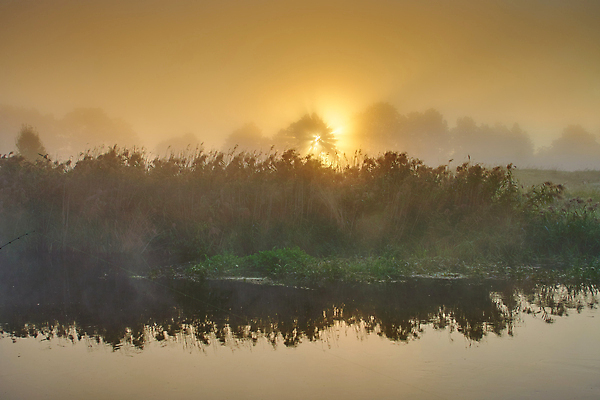 포토 JPG 해외이미지 나무 계절 실루엣 여행 백그라운드 오렌지 자연 하늘 아침 추상 휴식 파노라마 풍경 사람없음 야외 빨간색 초록색 물 여름 파란색 빛 강 햇빛 태양 반사 노란색 마을 일출 맑음 화목 황혼 일몰 새벽 시골 황금 장면 스카이라인 내추럴 넘어짐 뿌연 해외포토 주간 자연요소 식물 컬러 컨셉 무늬 과일 모션 날씨 촬영기법 노을 생태계 파일형식 이미지허브