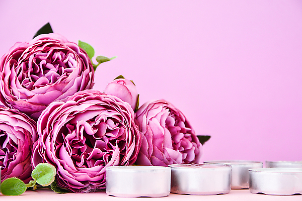 포토 JPG 해외이미지 라이프스타일 디자인 기념일 꽃잎 꽃 줄기 분홍색 꽃다발 결혼 백그라운드 꽃무늬 장신구 자연 벽지 휴가 프레임 발렌타인데이 선물 사랑 사람없음 장식 뷰티 장미 유행 스파 화목 낭만 벚꽃 축하 인사 신선 신용카드 생일 개화 다발 엽서 초대 공상 작약 스타일 카피스페이스 어머니의날 해외포토 식물 감정 컬러 컨셉 무늬 데이이벤트 이벤트 생활 금융 공백 예절 편지 생태계 미국문화 파일형식 이미지허브