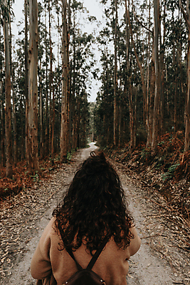 포토 JPG 해외이미지 주간 여자 길 여행 휴식 한명 상반신 성인 야외 뒷모습 숲길 나무길 혼자 성인여자한명만 해외포토 자연요소 1 뷰포인트 컨셉 사람 여자한명만 성인여자만 파일형식 이미지허브