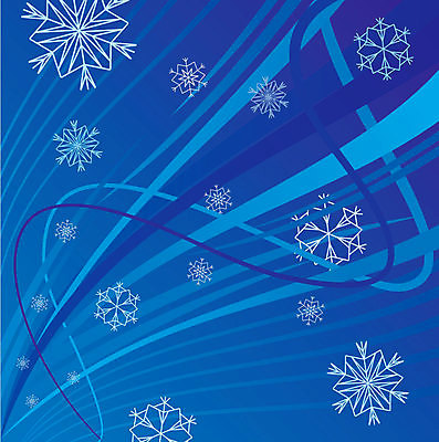 포토 JPG 해외이미지 모양 디자인 계절 행복 실루엣 별 조각 백그라운드 크리스마스 겨울 패턴 일러스트 벽지 날씨 추상 휴가 기념 미술 사람없음 그래픽 장식 파란색 빛 뷰티 냉동 얼음 추위 흰색 축하 눈송이 화려 우아함 12월 크리스탈 연도 그림 질감 서리 그런지 엘리먼트 해외일러스트 자연요소 기념일 감정 컬러 컨셉 무늬 문화예술 눈_날씨 촬영기법 날짜 광석 파일형식 이미지허브