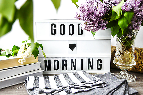 포토 JPG 해외이미지 꽃 아침 실내 사람없음 꽃병 인사 소프트포커스 인사말 라이트박스 해외포토 주간 식물 촬영기법 내부 예절 파일형식 이미지허브